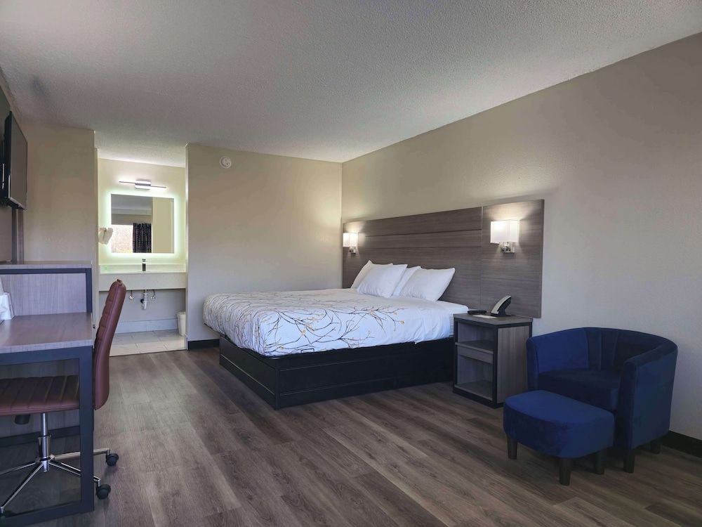 Room, 1 King Bed, Non Smoking
