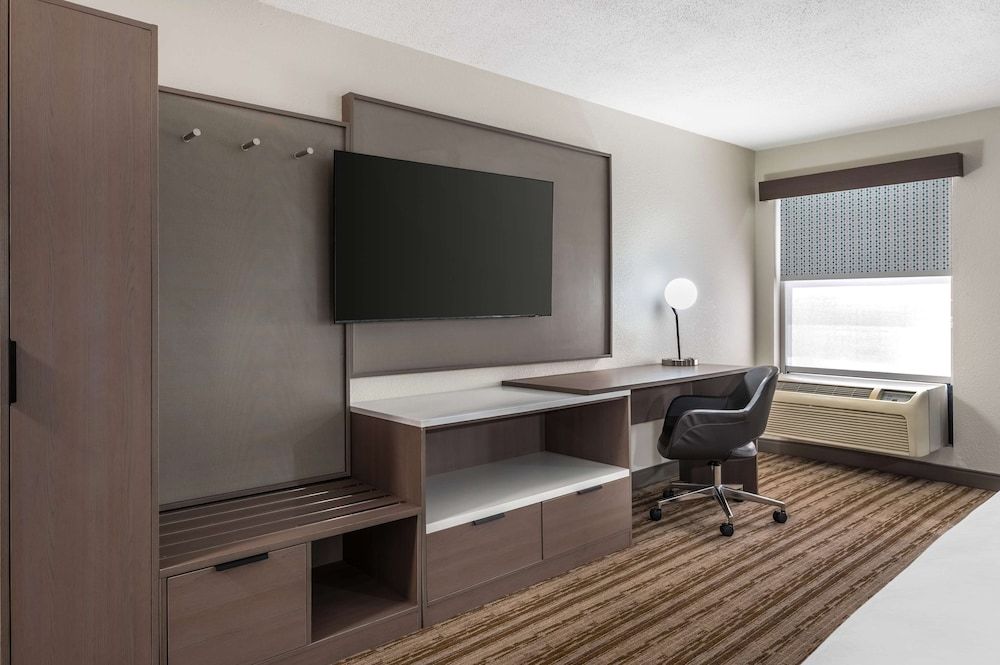Standard Room, 1 King Bed, Accessible, Refrigerator & Microwave (with Sofabed)