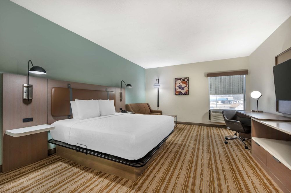 Standard Room, 1 King Bed, Accessible, Refrigerator & Microwave (with Sofabed)