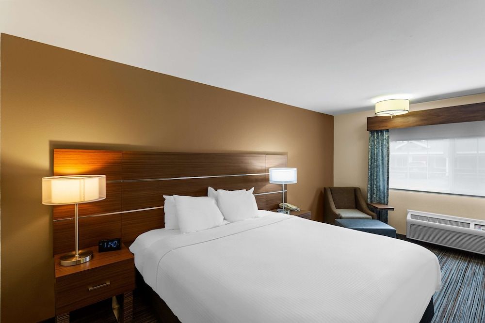 Standard Room, 1 King Bed, Non Smoking (Pet Friendly)