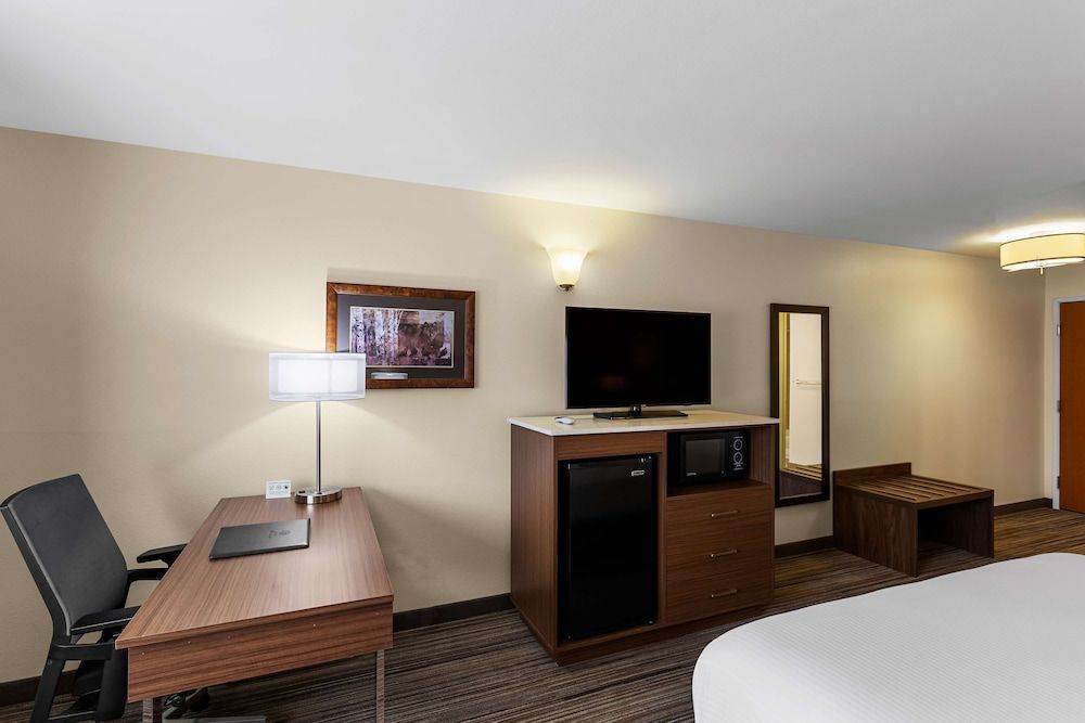 Standard Room, 1 King Bed, Non Smoking (Pet Friendly)