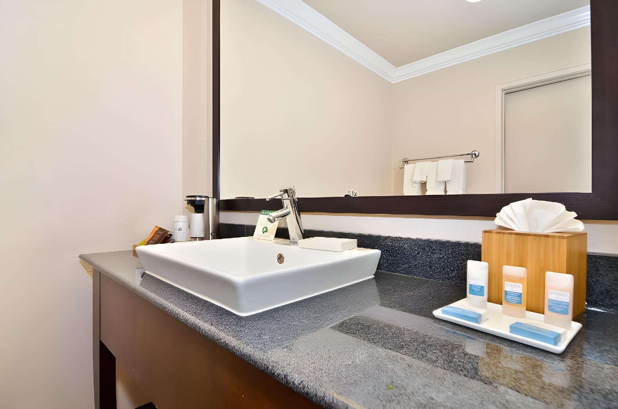 Accessibility - 1 King Bed, Roll-in Shower, Nonsmoking