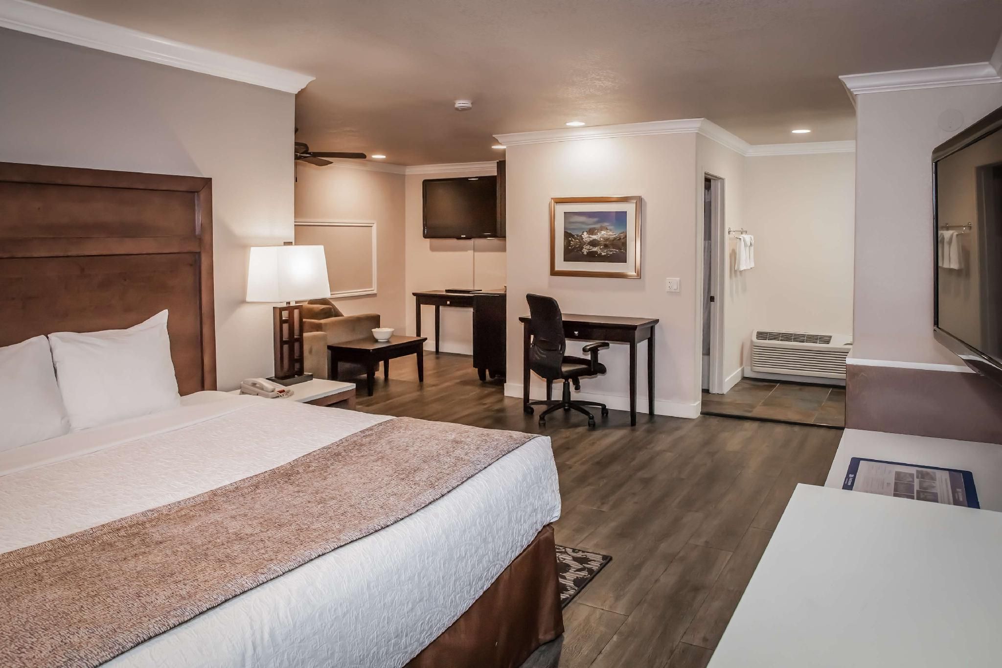 Suite - 1 King Bed, Nonsmoking, Sofabed, Separate Sitting Area