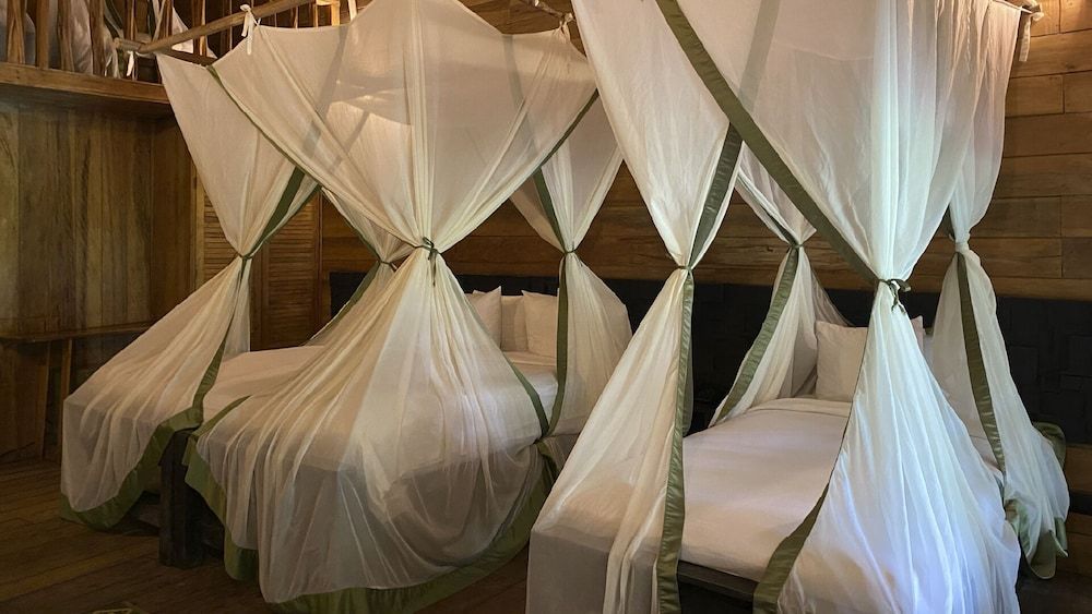 Hotel On Vacation Amazon Standard Triple Room 2