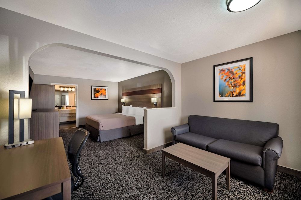 Standard Room, 1 King Bed, Non Smoking, Refrigerator & Microwave