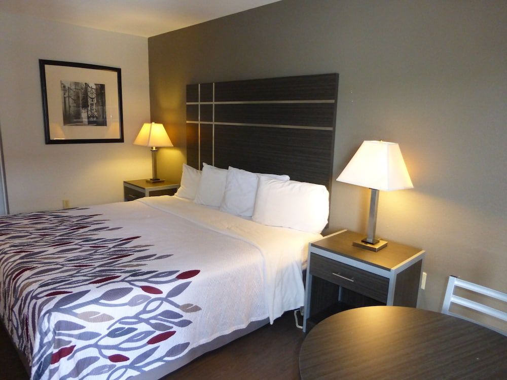 Superior Room, 1 King Bed, Non Smoking