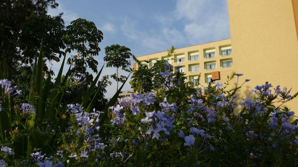 Gorillas Golf Hotel Standard Room, Park View 7