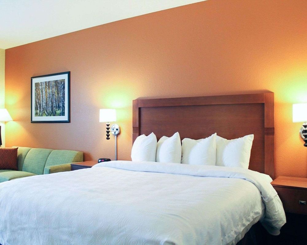 Suite, 1 King Bed with Sofa bed, Accessible, Non Smoking (Efficiency)