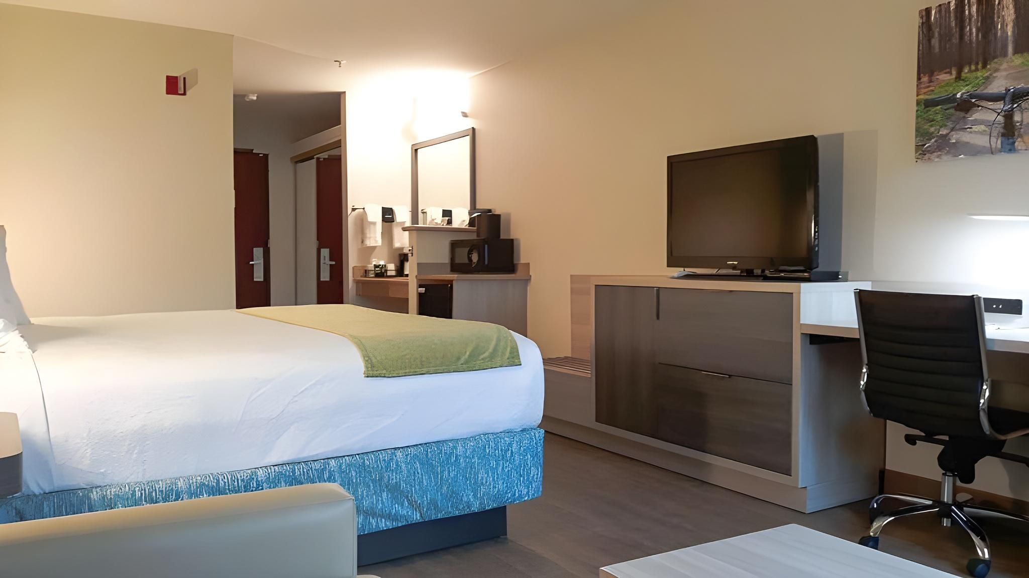 Accessibility - 1 King Bed, Bathtub, Nonsmoking