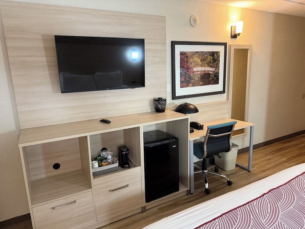 The Floral Park Motor Lodge Room, 1 King Bed, Non Smoking 4