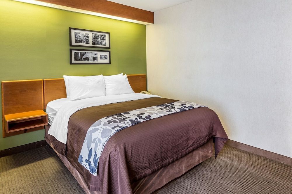 Room, 1 Queen Bed, Accessible, Non Smoking (Accessible Tub)