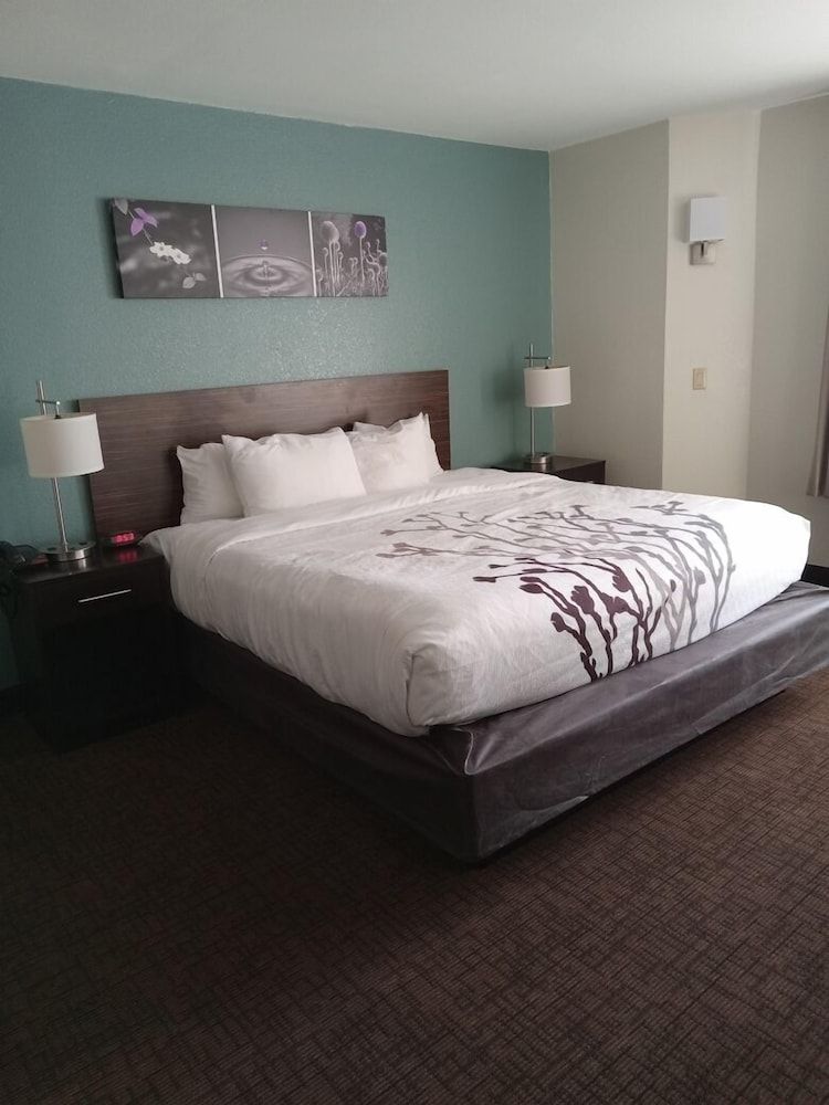 Sleep Inn & Suites Kingsport TriCities Airport Room, 1 Queen Bed, Accessible, Non Smoking