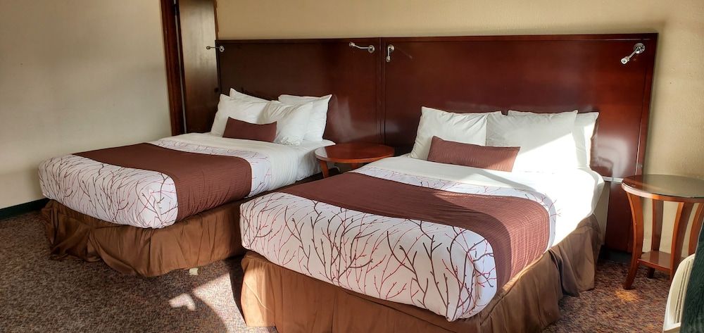 Family Room, Multiple Beds, Non Smoking