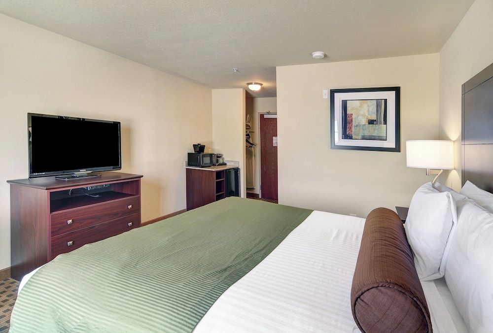 Room, 1 King Bed, Non Smoking