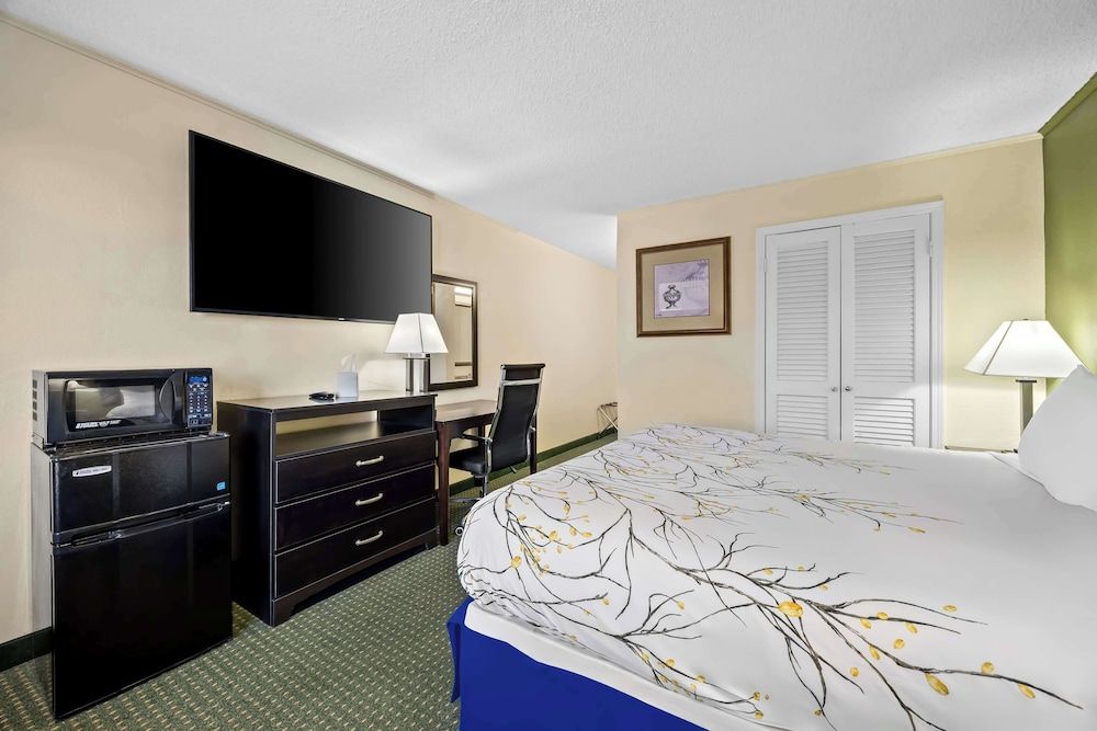 Room, 1 King Bed, Non Smoking