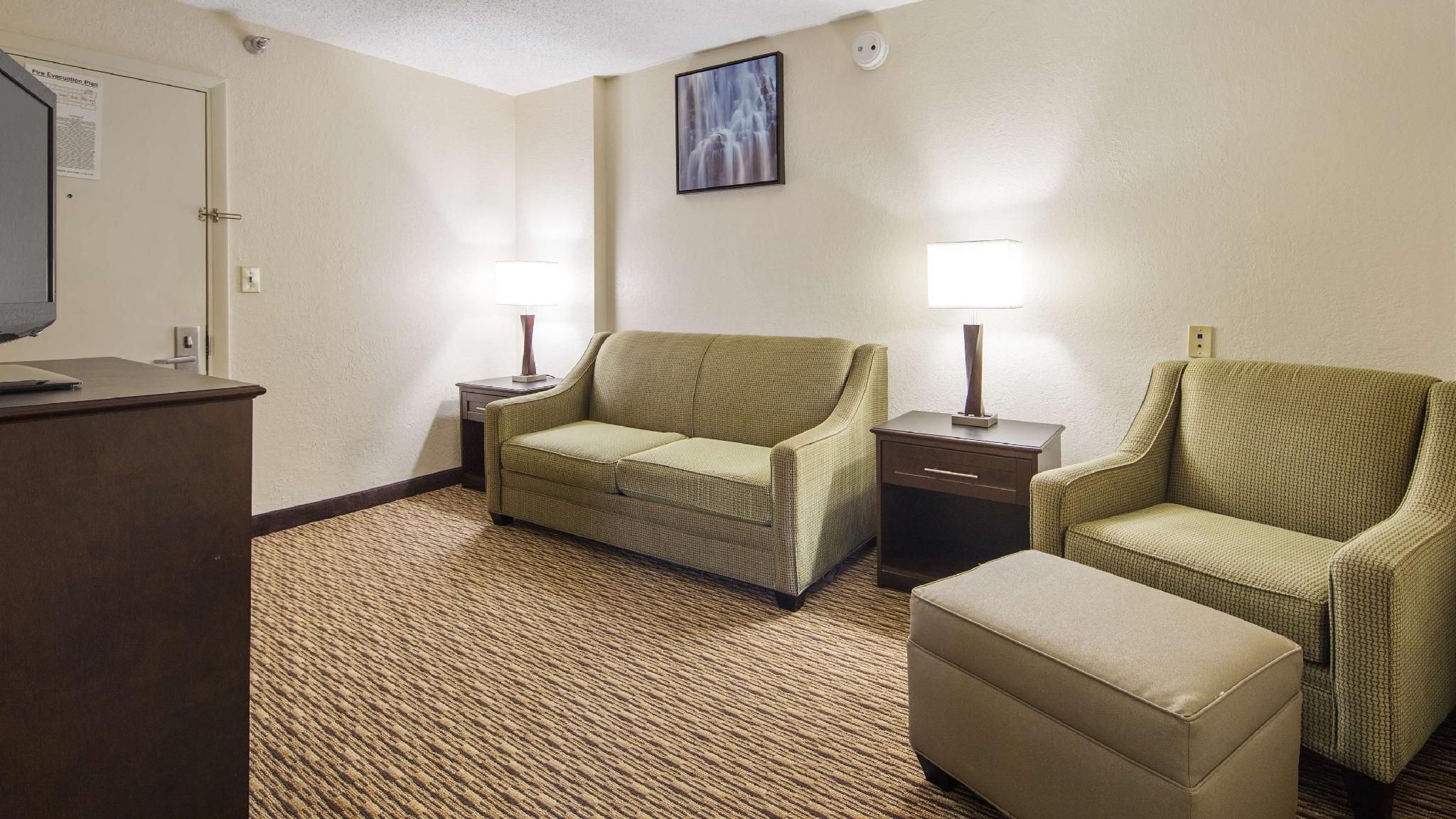 1 King Bed, Nonsmoking, Sofabed, Pet Friendly Room