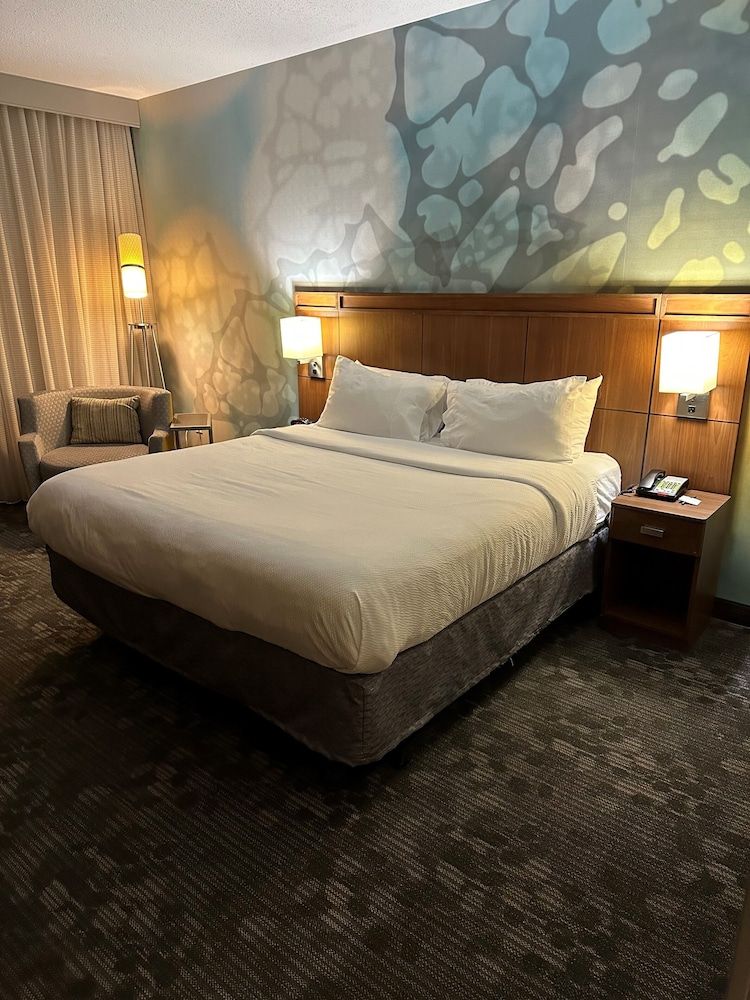 Room, 1 King Bed with Sofa bed (Mobility/Hearing Access, Roll-In Shwr)