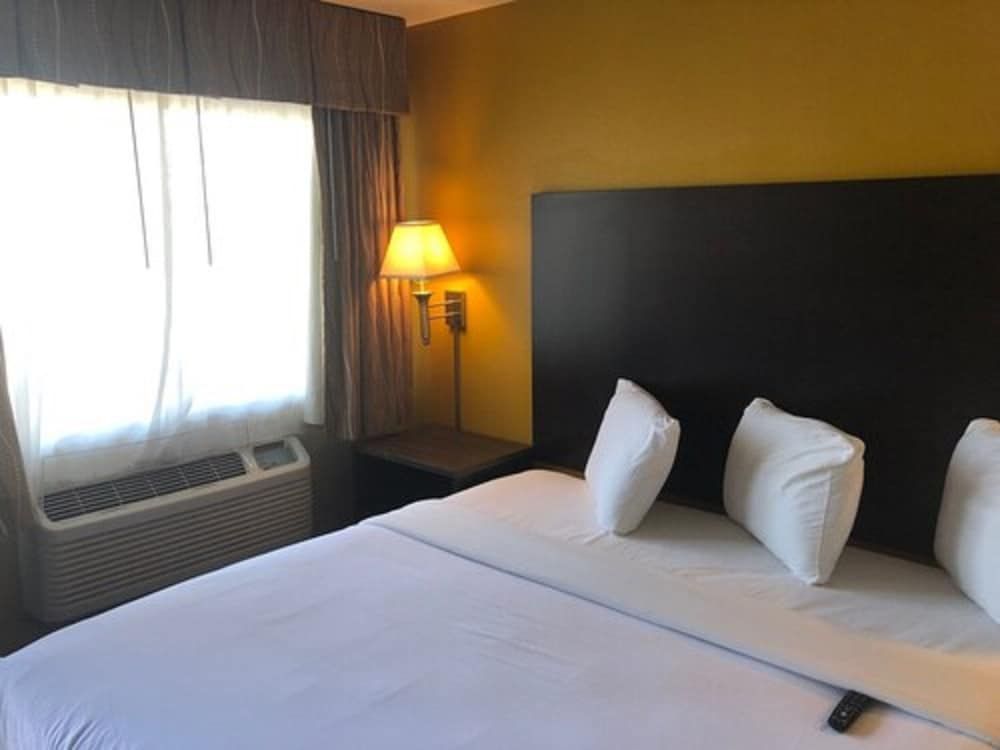 Room, 1 King Bed, Non Smoking (Walk-In Shower)