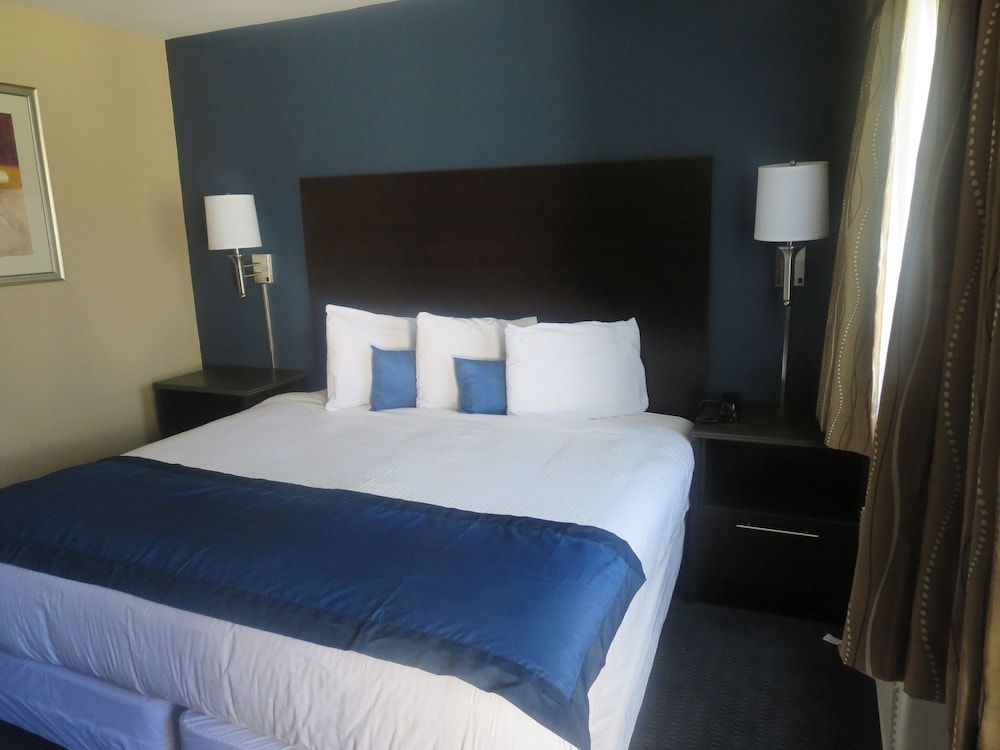 Room, 1 King Bed, Non Smoking (Pet-Friendly)