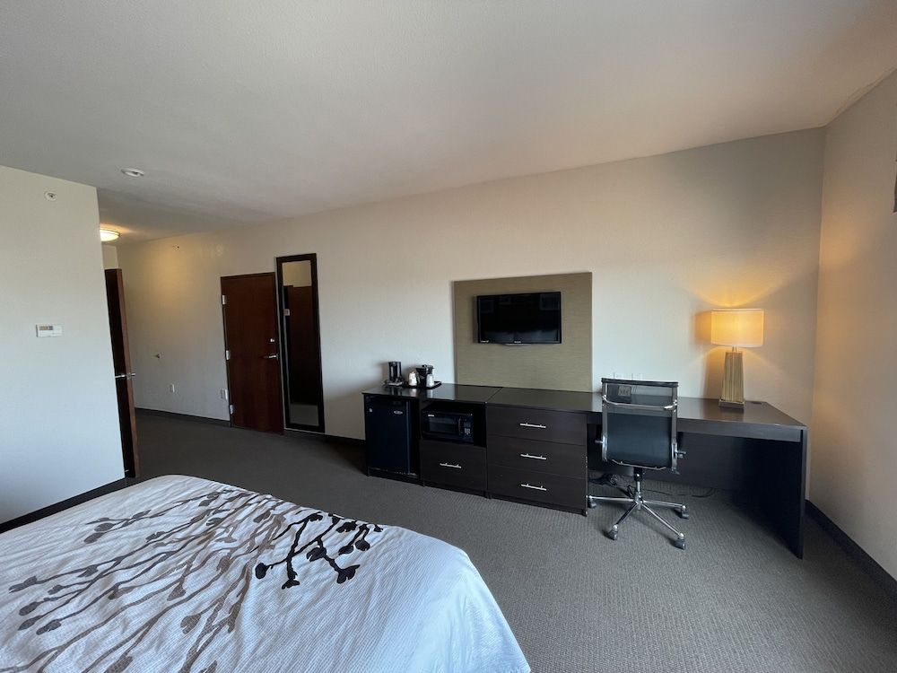 Room, 1 King Bed, Accessible, Non Smoking