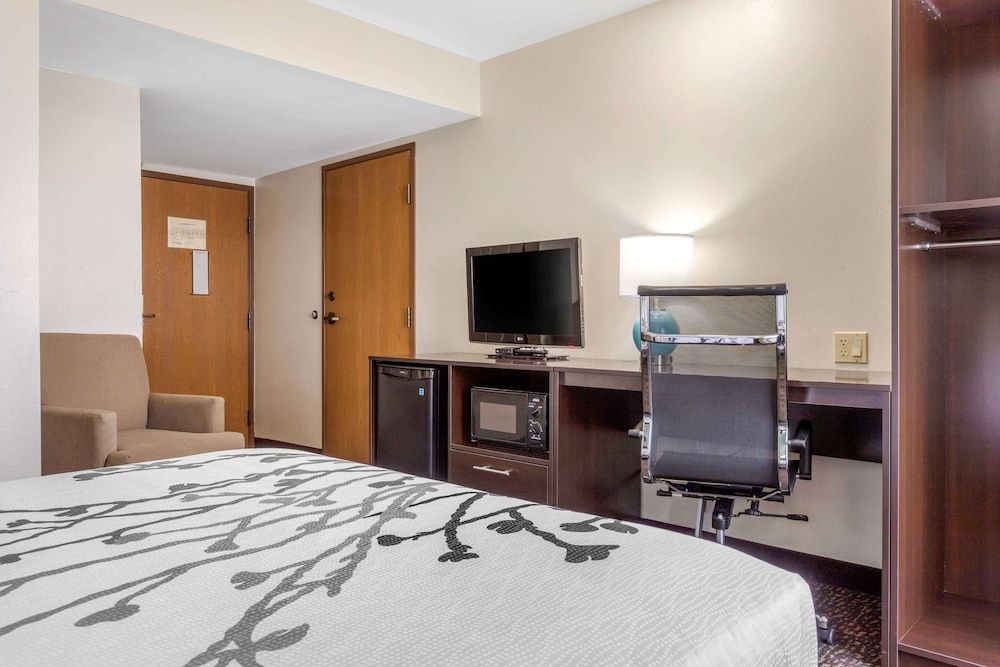 Standard Room, 1 King Bed, Non Smoking