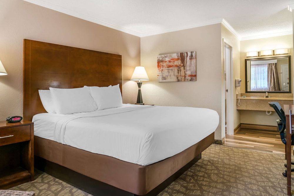 Standard Room, 1 King Bed, Non Smoking, Refrigerator