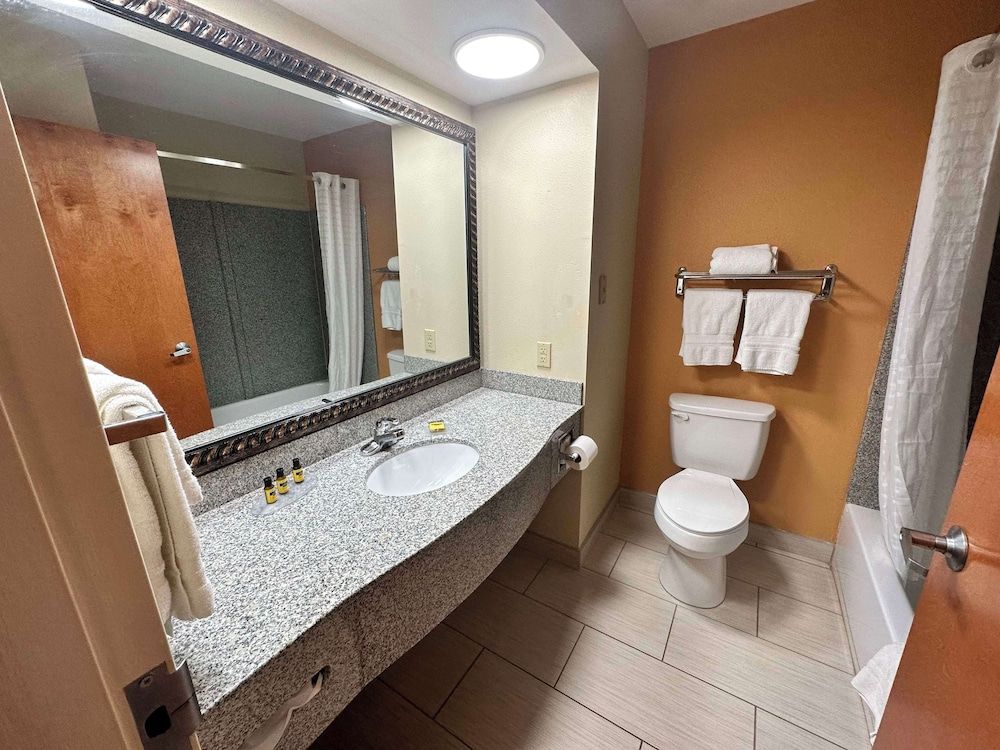 Standard Room, 1 King Bed, Non Smoking, Refrigerator & Microwave