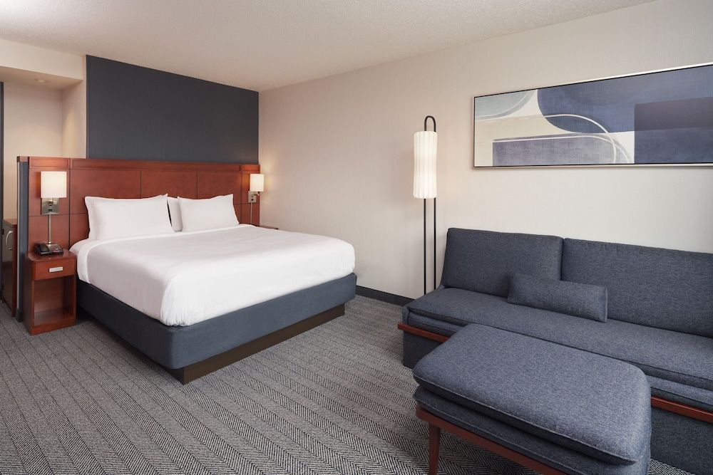 Room, 1 King Bed with Sofa bed