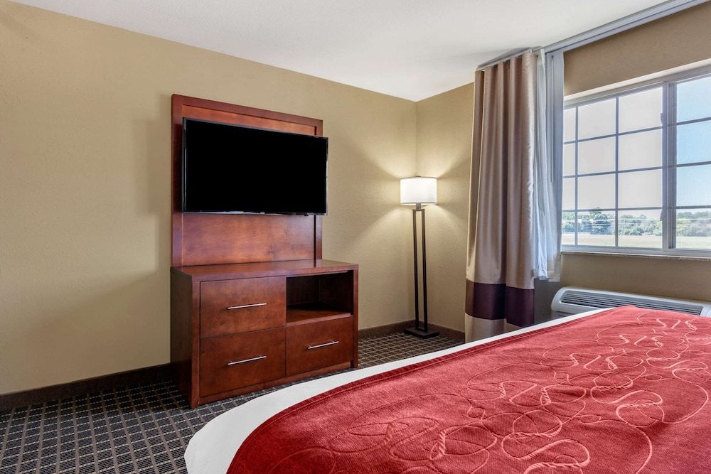 Suite, 1 King Bed with Sofa bed, Accessible, Non Smoking