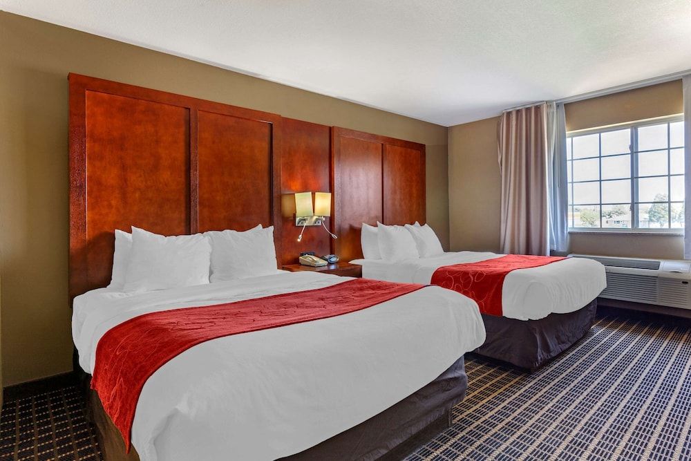 Suite, Multiple Beds, Accessible, Non Smoking