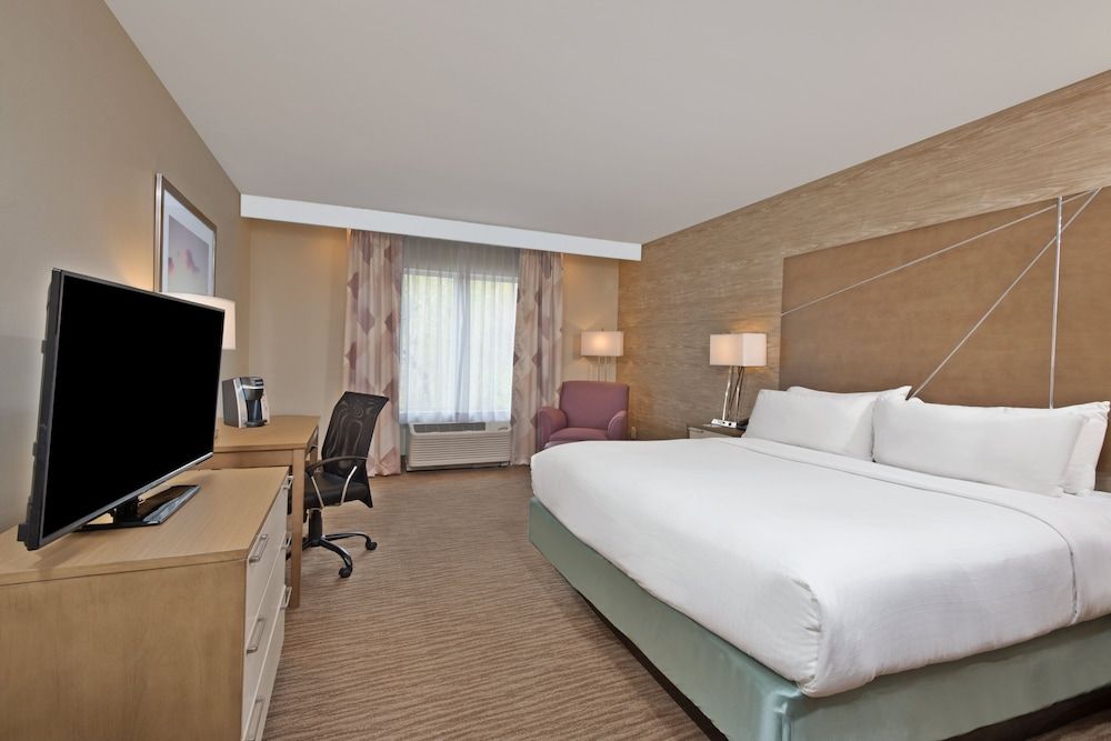Standard Room, 1 King Bed, Accessible