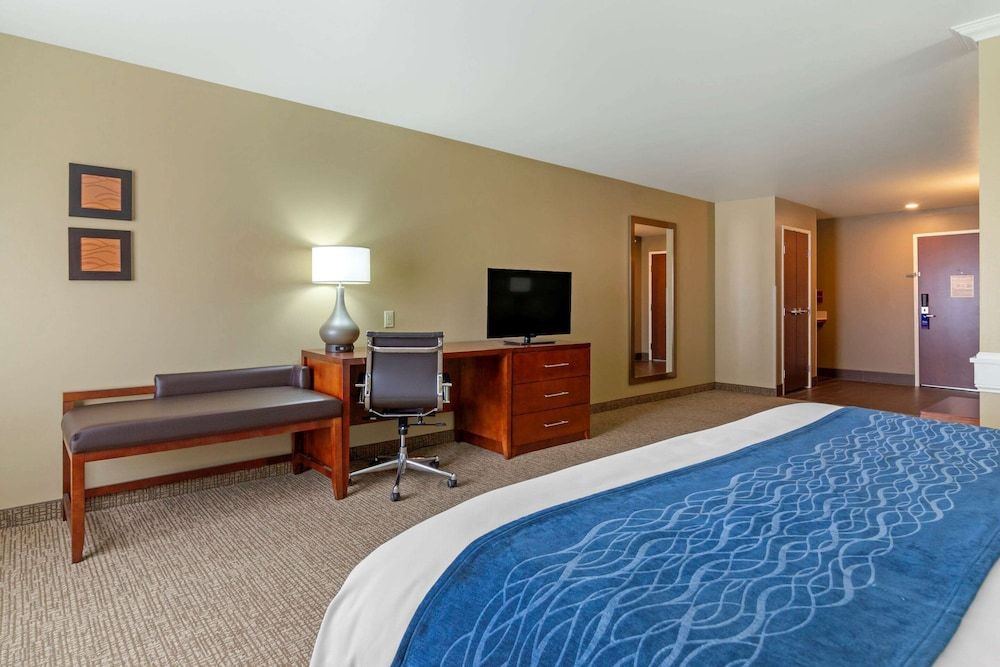 Suite, 1 King Bed with Sofa bed, Non Smoking