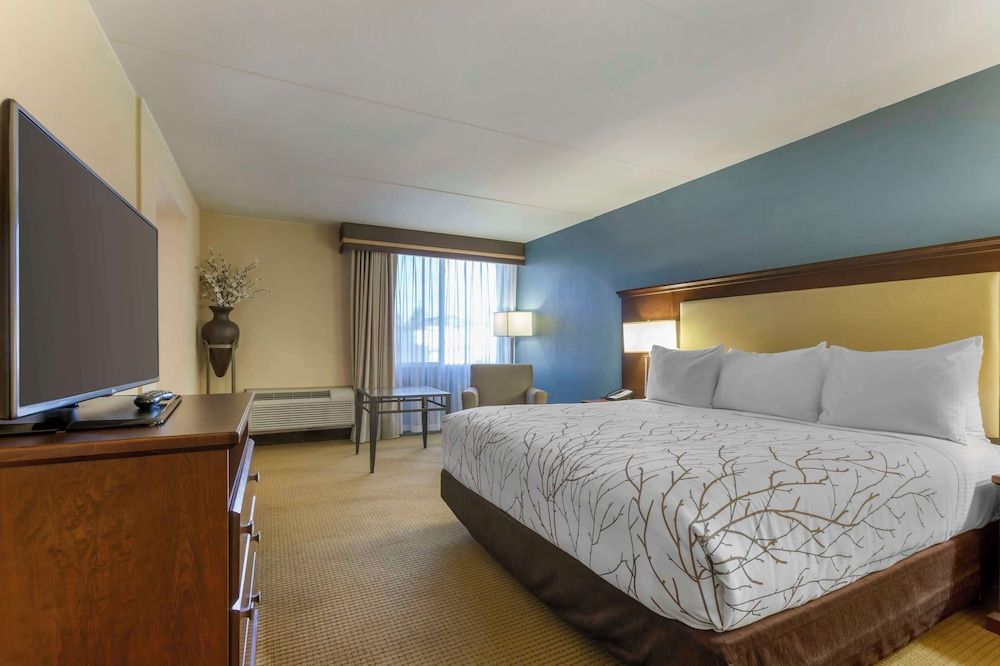 Suite, 1 King Bed, Refrigerator & Microwave, Courtyard View (with Sofabed)