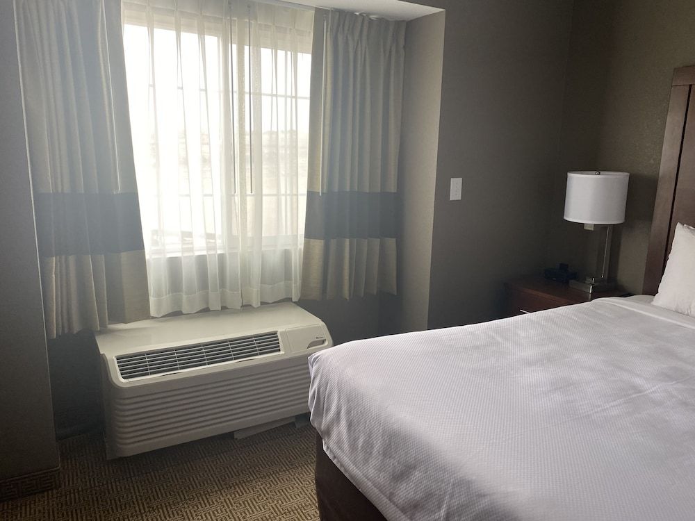 Room, 1 King Bed, Non Smoking