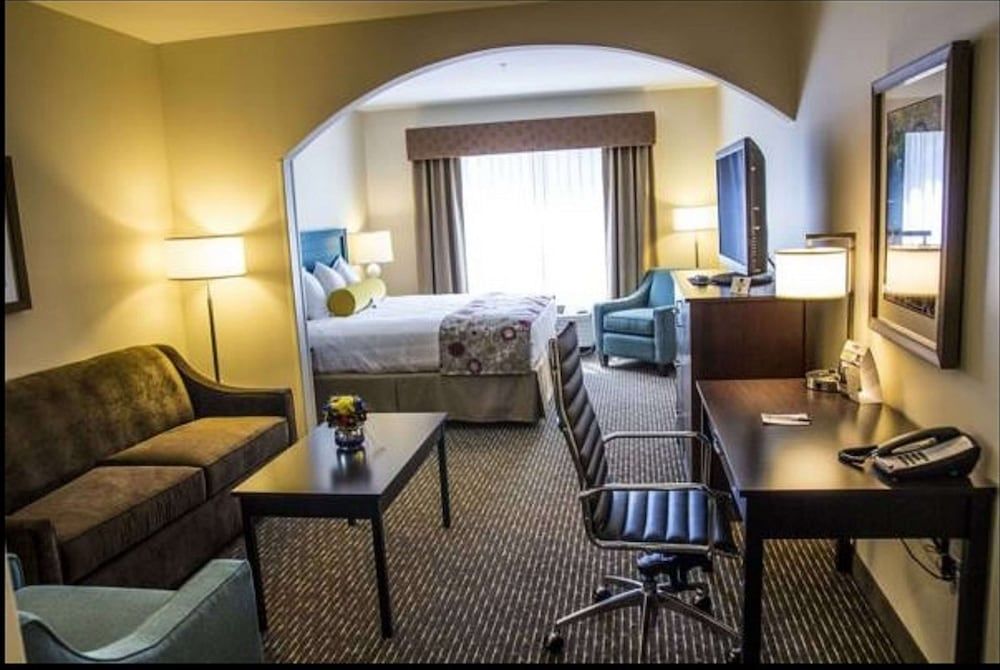 Suite, 1 King Bed, Non Smoking, Refrigerator & Microwave (with Sofabed)