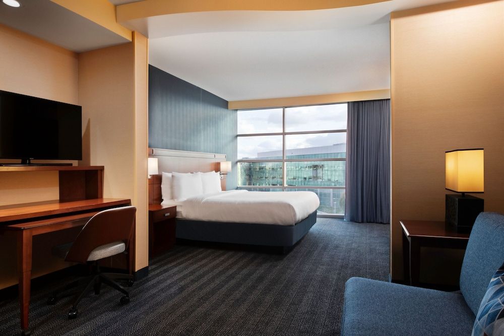 Executive Room, 1 King Bed with Sofa bed, Non Smoking (Mobility Accessible, Tub)