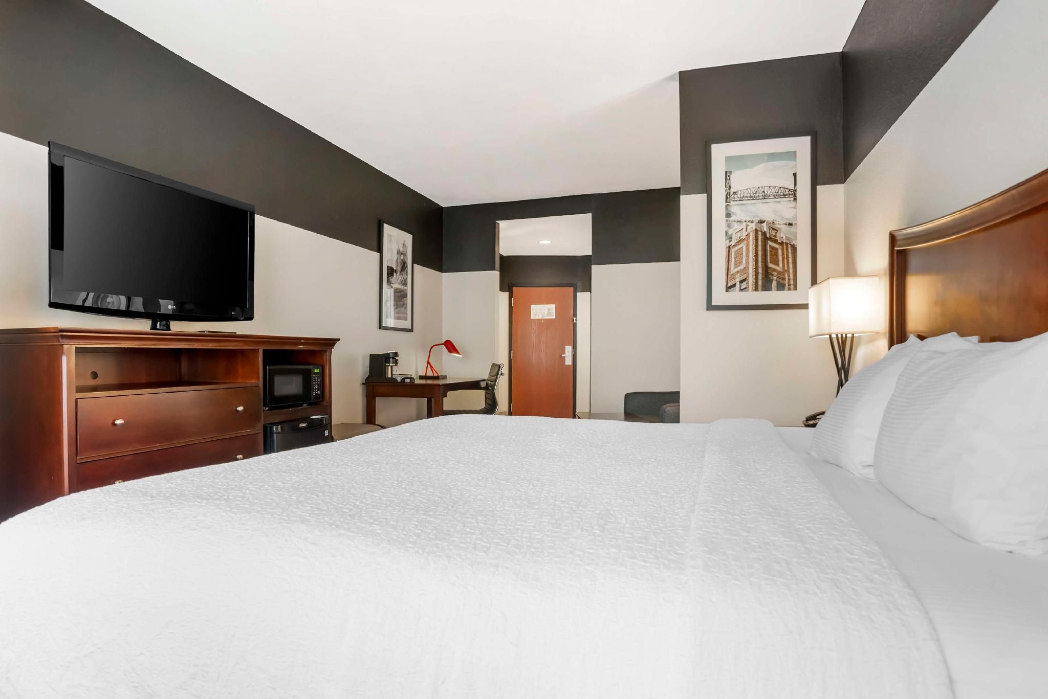 Suite - 1 King Bed, Nonsmoking, Sofabed