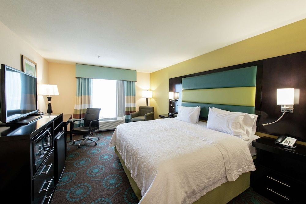 Room, 1 King Bed, Non Smoking, Refrigerator & Microwave