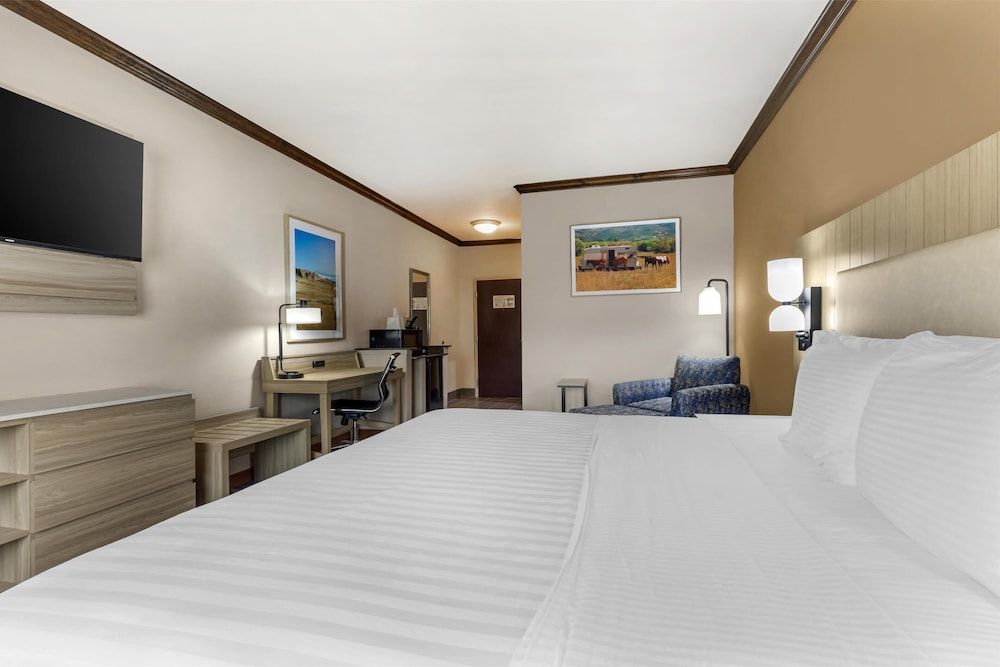 Best Western Red River Inn & Suites Standard Room, 1 King Bed, Non Smoking, Refrigerator & Microwave 2