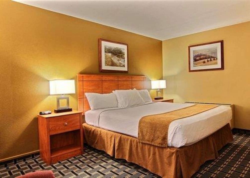 Quality Inn Thief River Falls Standard Room, 1 King Bed, Non Smoking 2