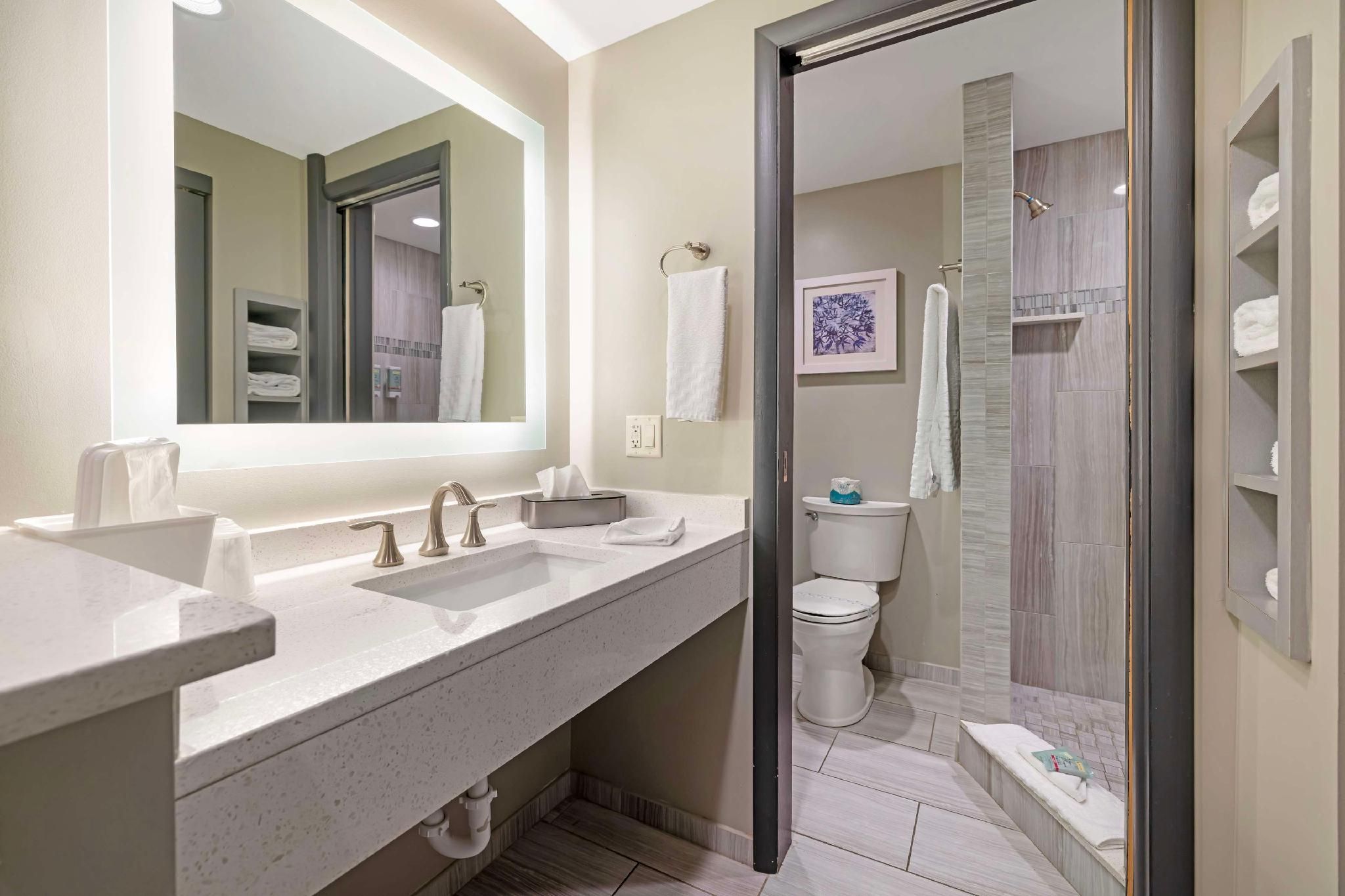 1 King Bed, Nonsmoking, Walk-in Shower