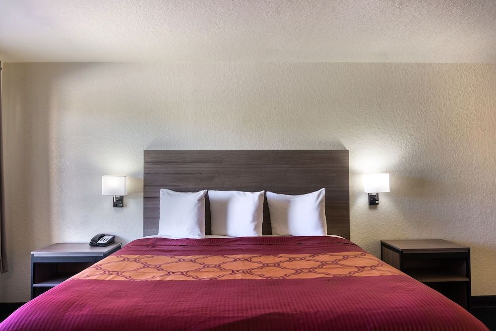 Room, 1 King Bed, Smoking