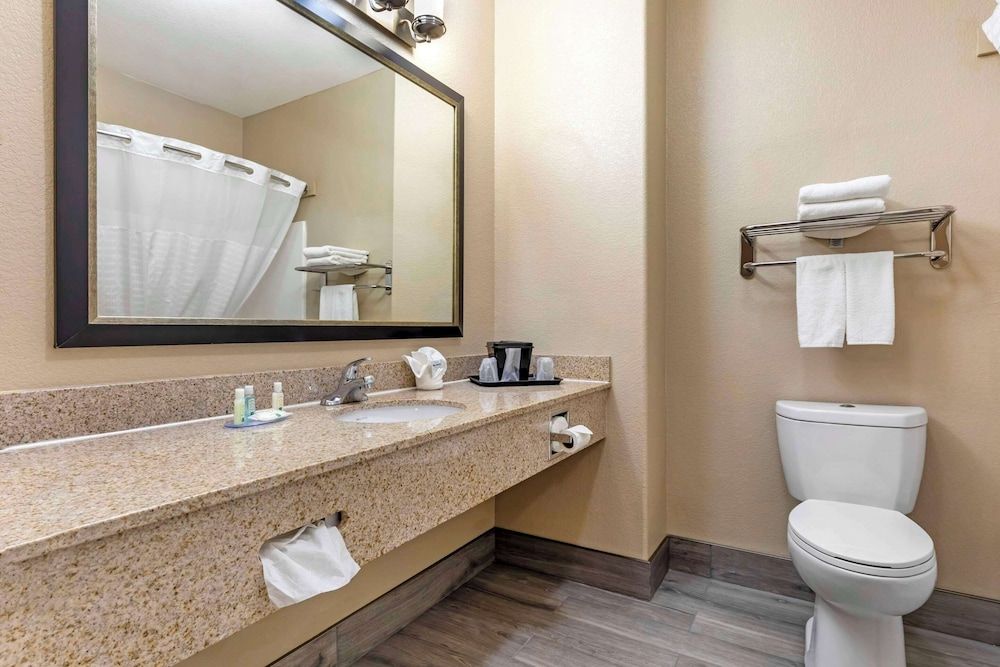 Quality Inn & Suites Suite, 1 King Bed, Non Smoking 2