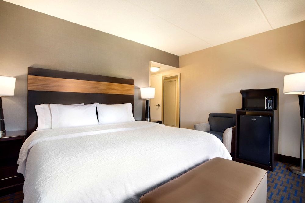 Room, 1 King Bed