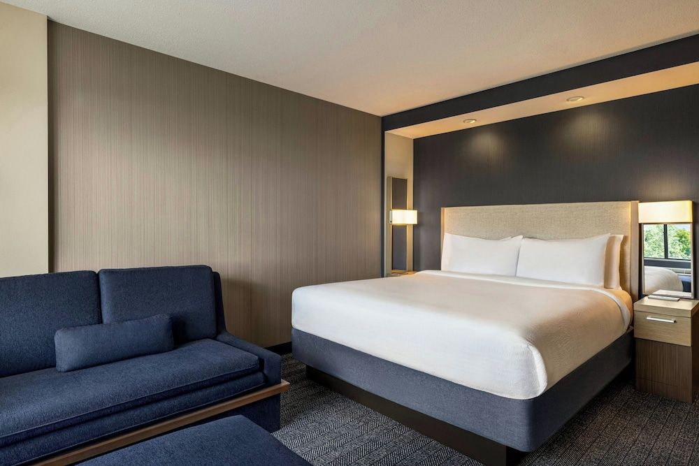 Room, 1 King Bed with Sofa bed
