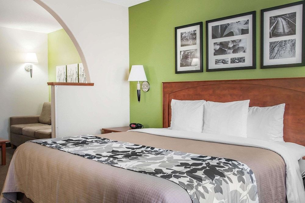 Sleep Inn & Suites Conference Center and Water Park Suite, 1 King Bed, Accessible, Non Smoking