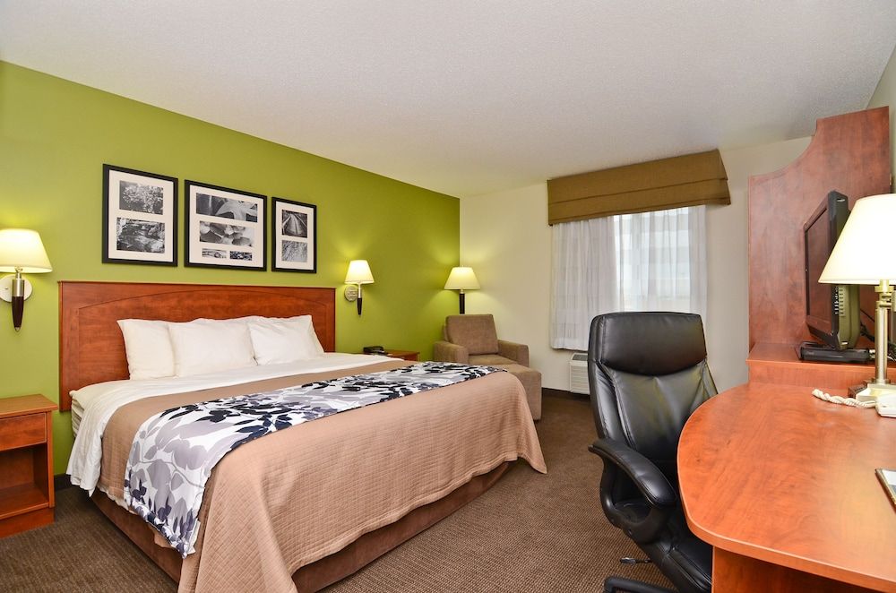 Standard Room, 1 King Bed, Non Smoking