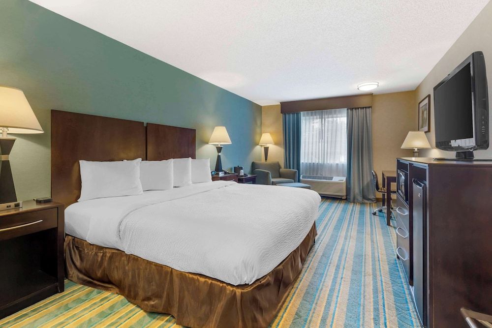Standard Room, 1 King Bed, Non Smoking, Refrigerator & Microwave