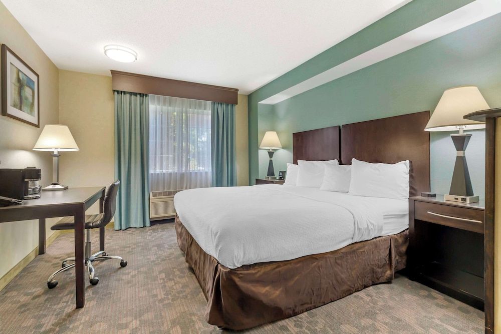 Suite, 1 King Bed with Sofa bed, Non Smoking, Refrigerator & Microwave (with Sofabed)