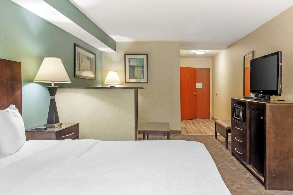 Suite, 1 King Bed, Accessible, Refrigerator & Microwave (with Sofabed)